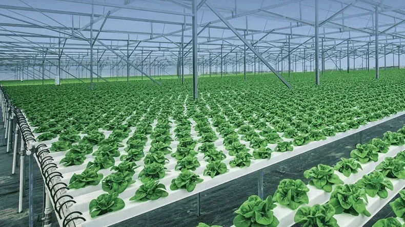 smart hydroponics system growing